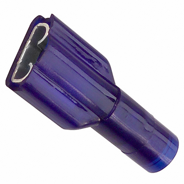 20024