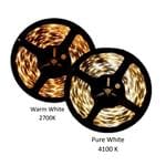 24V-MB75-WW-12M