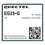EG25GGB-256-SGNS