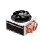 LM310-003A99DN
