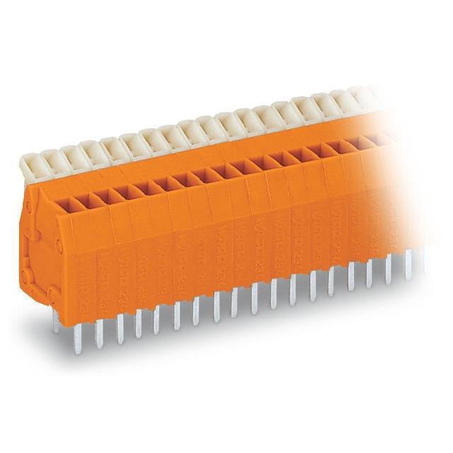 234504
