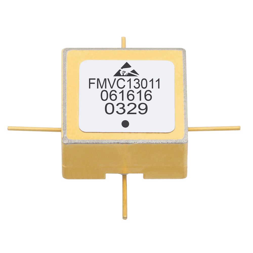 FMVC13011
