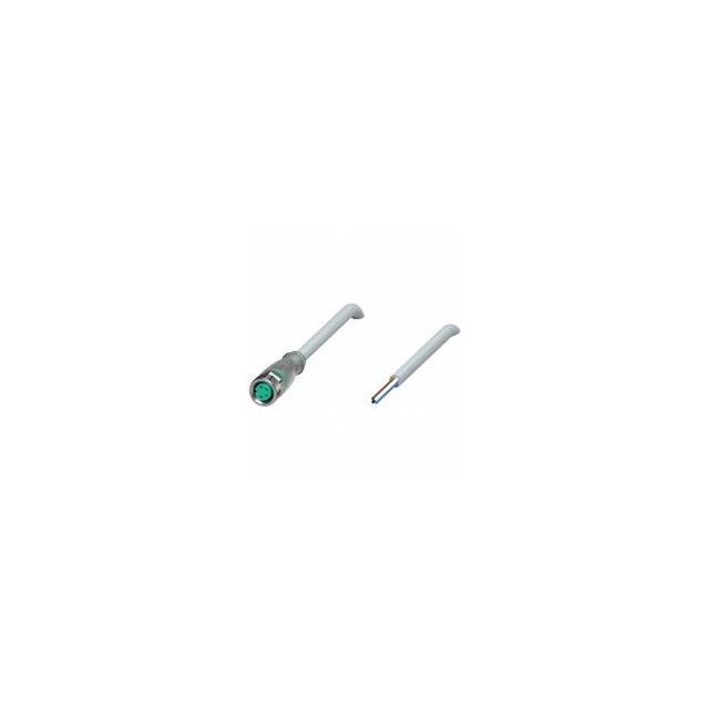 V31-GM-A2-10M-PUR