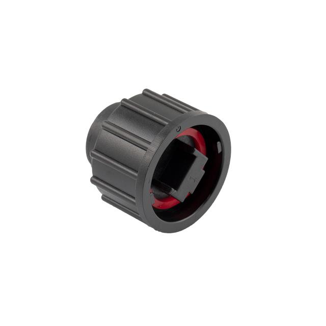 WP67-BHA-CAP