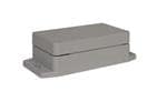 PN-1321-AMB
