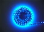 12V-SB-BLU-12M