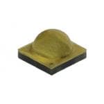 XPGDRY-L1-0000-00601