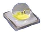LCW CR7P.EC-KTLP-5U8X-1