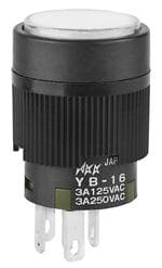 YB16CKW01-2CF12-JB