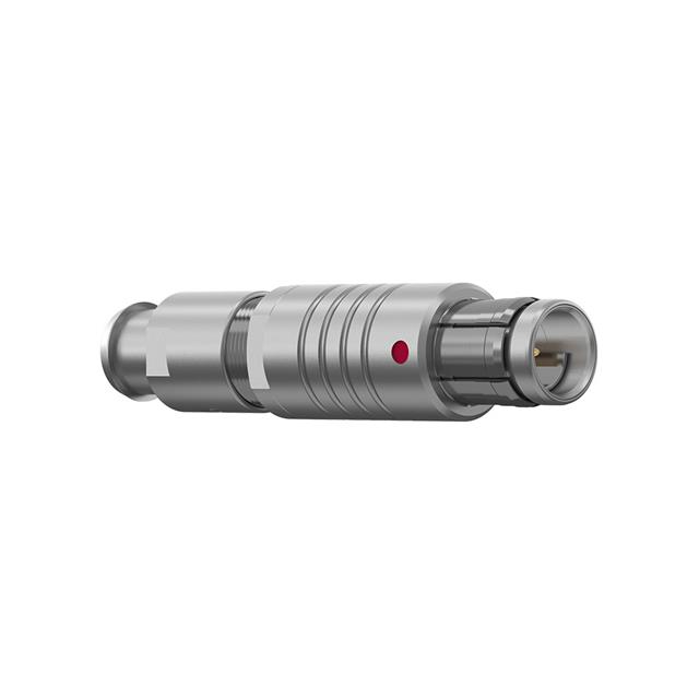 S21F1C-P04MJG0-300S