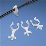 WS25-25-C